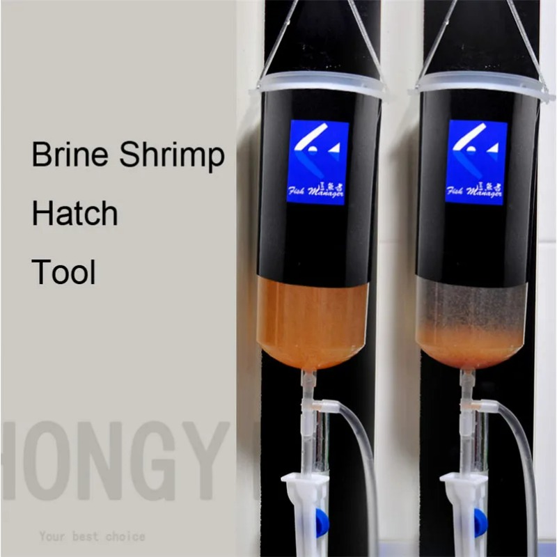 Baby Food Shrimp - الجنية الروبيان البيض الأرتيميا على قيد