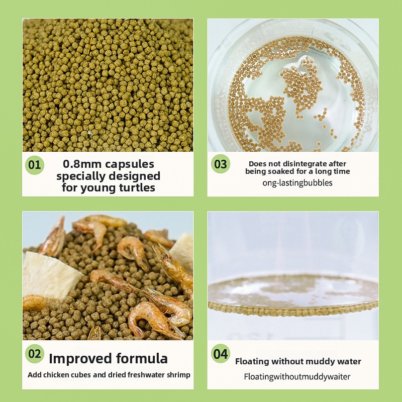 GEN CLIMB Baby Turtle Starter  - مراجعة Baby Food Shrimp وسعره