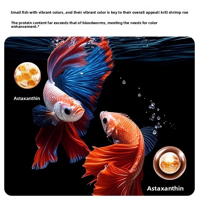 Yee Krill & Baby Shrimp Dry Fo - مراجعة Baby Food Shrimp وسعره